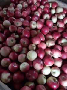 333042133_1377645829739209_8751887862241301615_n