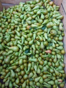 333841626_590575396282893_1178687988642265285_n